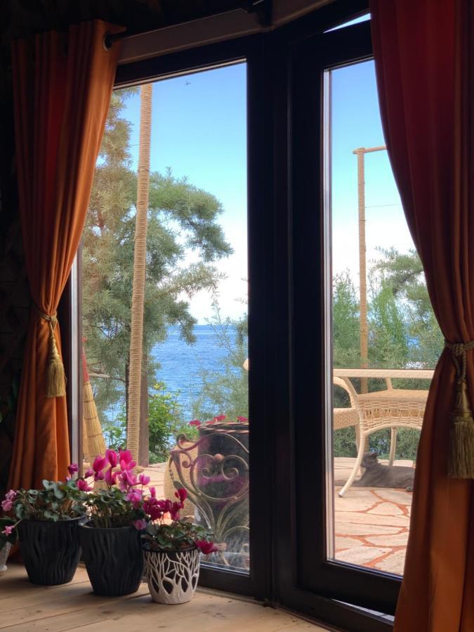 Ak-Tengir Yurt Resort Tossor 外观 照片